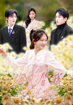 《海风替我说再见》