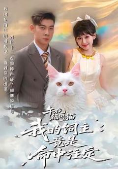 《午夜缅因猫我的饲主竟是命中注定》