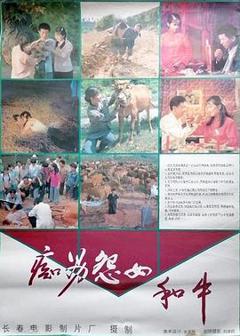 《痴男怨女和牛【影视解说】》