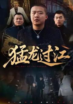 《猛龙过江》
