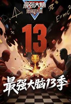 《最强大脑第十三季》