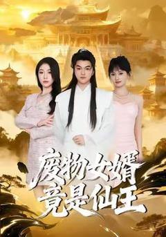 《废物女婿竟是仙王》