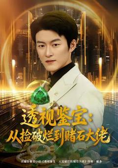 《透视鉴宝：从捡破烂到赌石大佬》