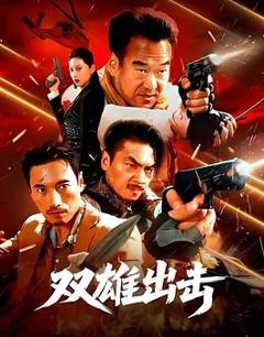 《双雄出击》