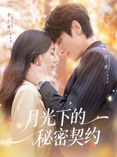《月光下的秘密契约》