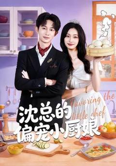 沈总的偏宠小厨娘