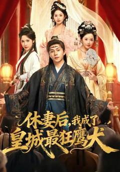休妻后，我成了皇城最狂鹰犬