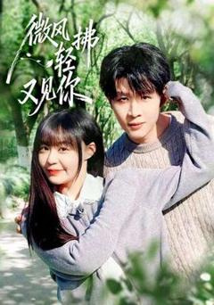 《微风轻拂又见你》