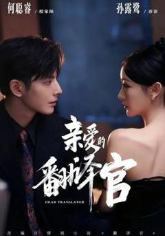 《亲爱的翻译官》