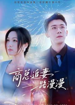 《商总追妻路漫漫》
