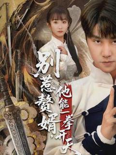 《别惹赘婿，他能一拳开天》
