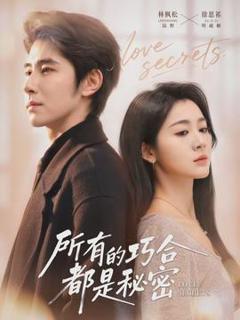 《所有的巧合都是秘密》