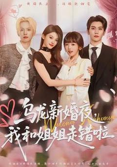 《乌龙新婚夜，我和姐姐走错啦》