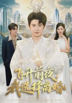 《飞升前夜，我选择离婚》