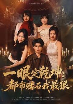 《一眼定乾坤：都市赌石我最狠》