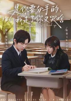 《是你要分手的，我走了你又哭啥》
