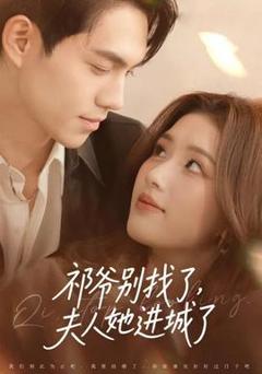 《祁爷别找了，夫人她进城了》