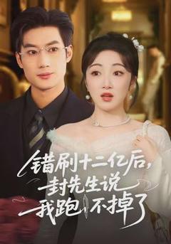 《错刷十二亿后，封先生说我跑不掉了》