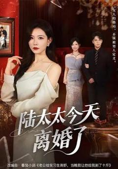 《陆太太今天离婚了》