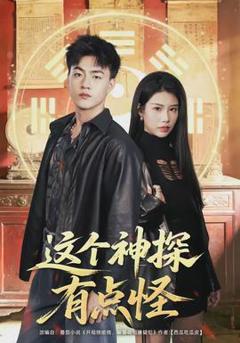 这个神探有点怪