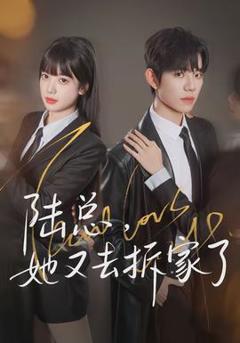 《陆总，她又去拆家了》