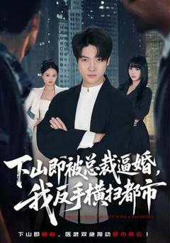 《下山即被总裁逼婚，我反手横扫都市》