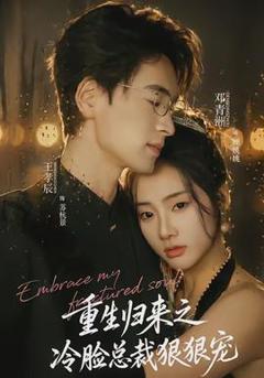 重生归来之冷脸总裁狠狠宠