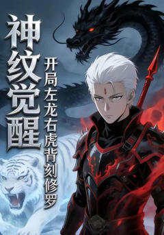 《神纹觉醒：开局左龙右虎背刻修罗》