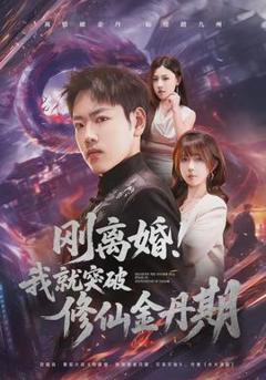 《刚离婚！我就突破修仙金丹期》