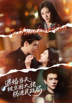 《退婚当天：被京圈大佬拐进民政局》