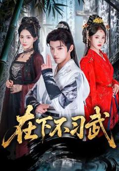 《在下不习武》