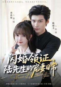 闪婚领证，陆先生的宠妻日常