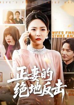 《正妻的绝地反击》