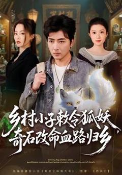 《乡村小子敕令狐妖，奇石改命血路归乡》