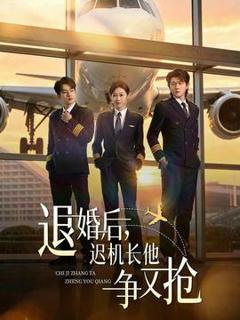 《退婚后，迟机长他争又抢》