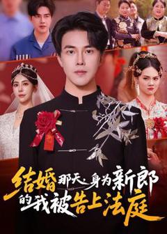 结婚那天，身为新郎的我被告上法庭
