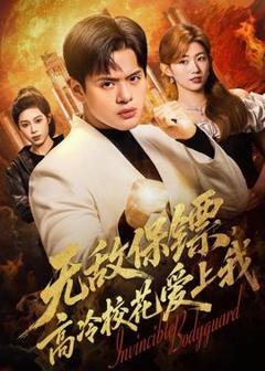 《无敌保镖，高冷校花爱上我》