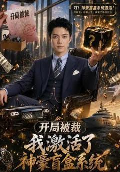 《开局被裁，我激活了神豪盲盒系统》