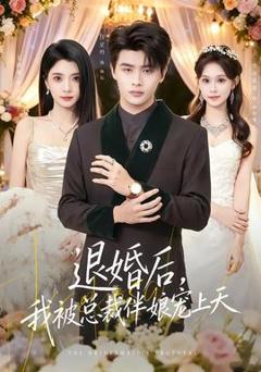 退婚后，我被总裁伴娘宠上天