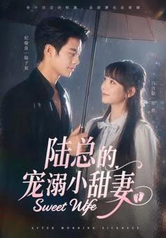《陆总的宠溺小甜妻》