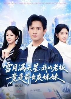 《雪月满天星：我的老板竟是前女友妹妹》