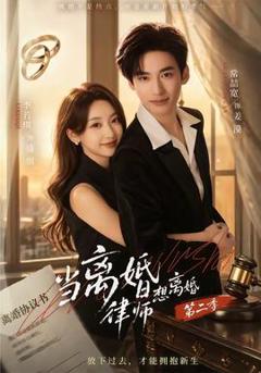 《当离婚律师想离婚第二季》
