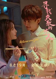 《寻找消失的恋人》