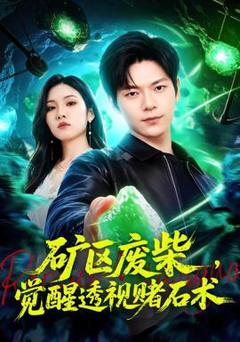 《矿区废柴，觉醒透视赌石术》