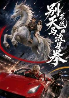 《别惹我的天马流星拳》
