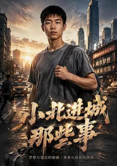 小北进城那些事