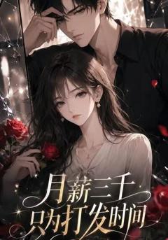 月薪三千只为打发时间